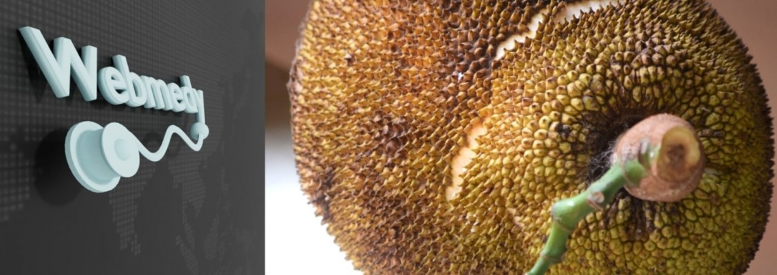 Jackfruit: The Superfruit That May Boost Your Health in Every Way! Jackfruit: The Superfruit That May Boost Your Health in Every Way!