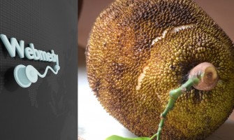 Jackfruit: The Superfruit That May Boost Your Health in Every Way!